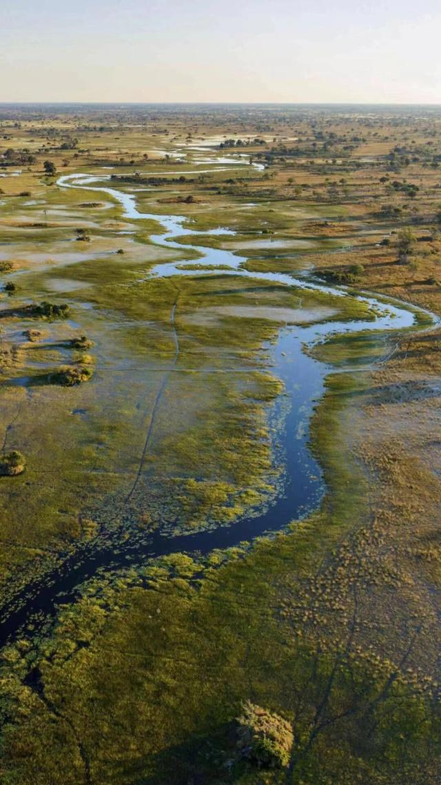 期货交易是技术还是艺术,期货交易真正的经历有哪些