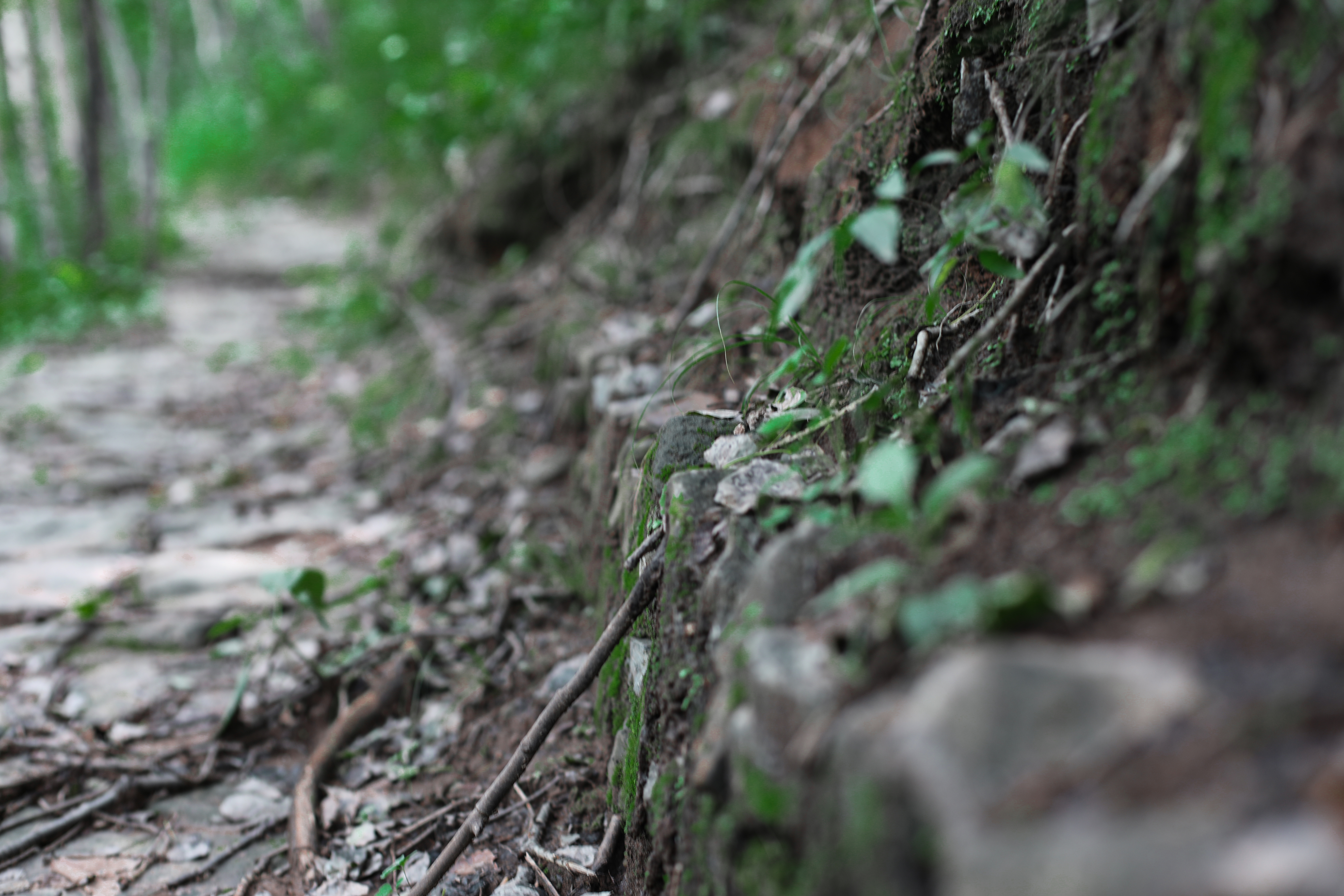 京郊十条登山步道推荐,房山蝴蝶谷登山步道