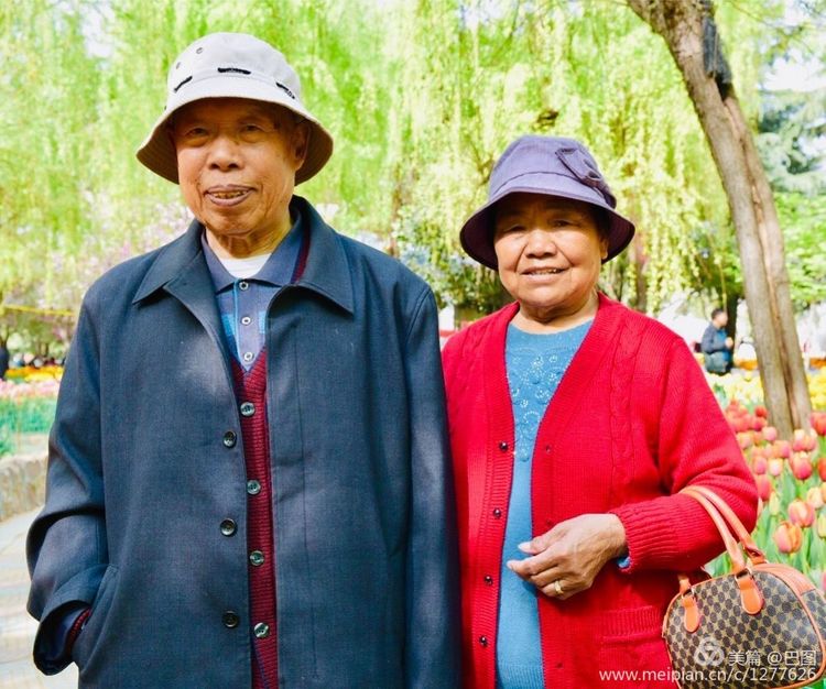 洛阳晚报作品,洛阳晚报2020年