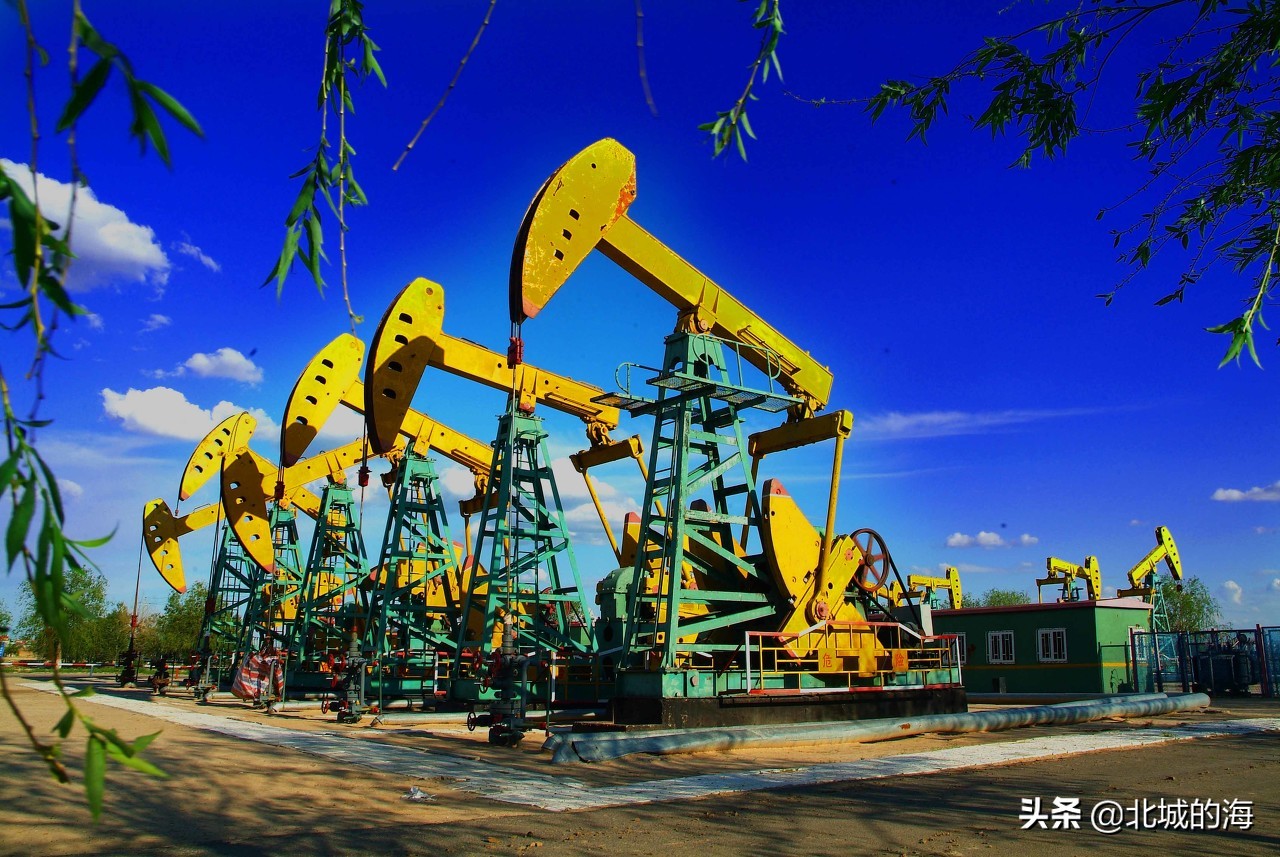 黑龙江有哪些世界之最,黑龙江有什么是排第一的