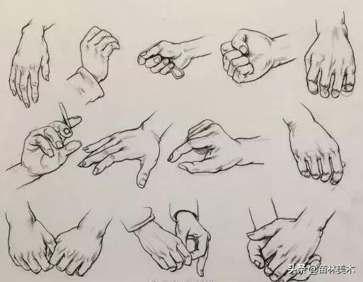 最全的速写的理论知识,速写最快学会
