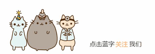 喵星人有眼睛吗,喵星人太好动怎么办