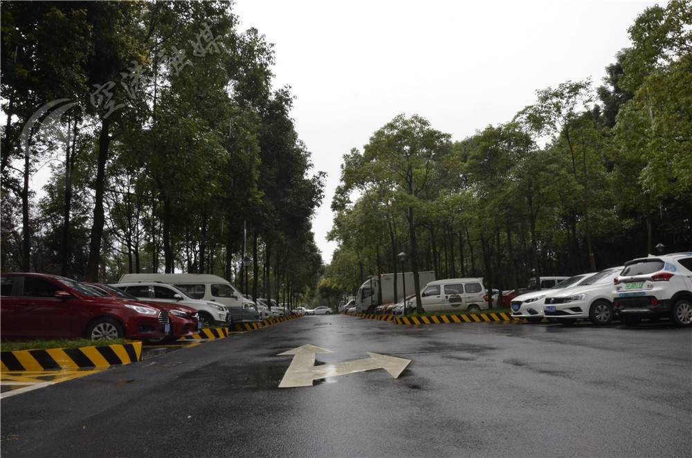 双流新修的公园,双流2022年改造公园