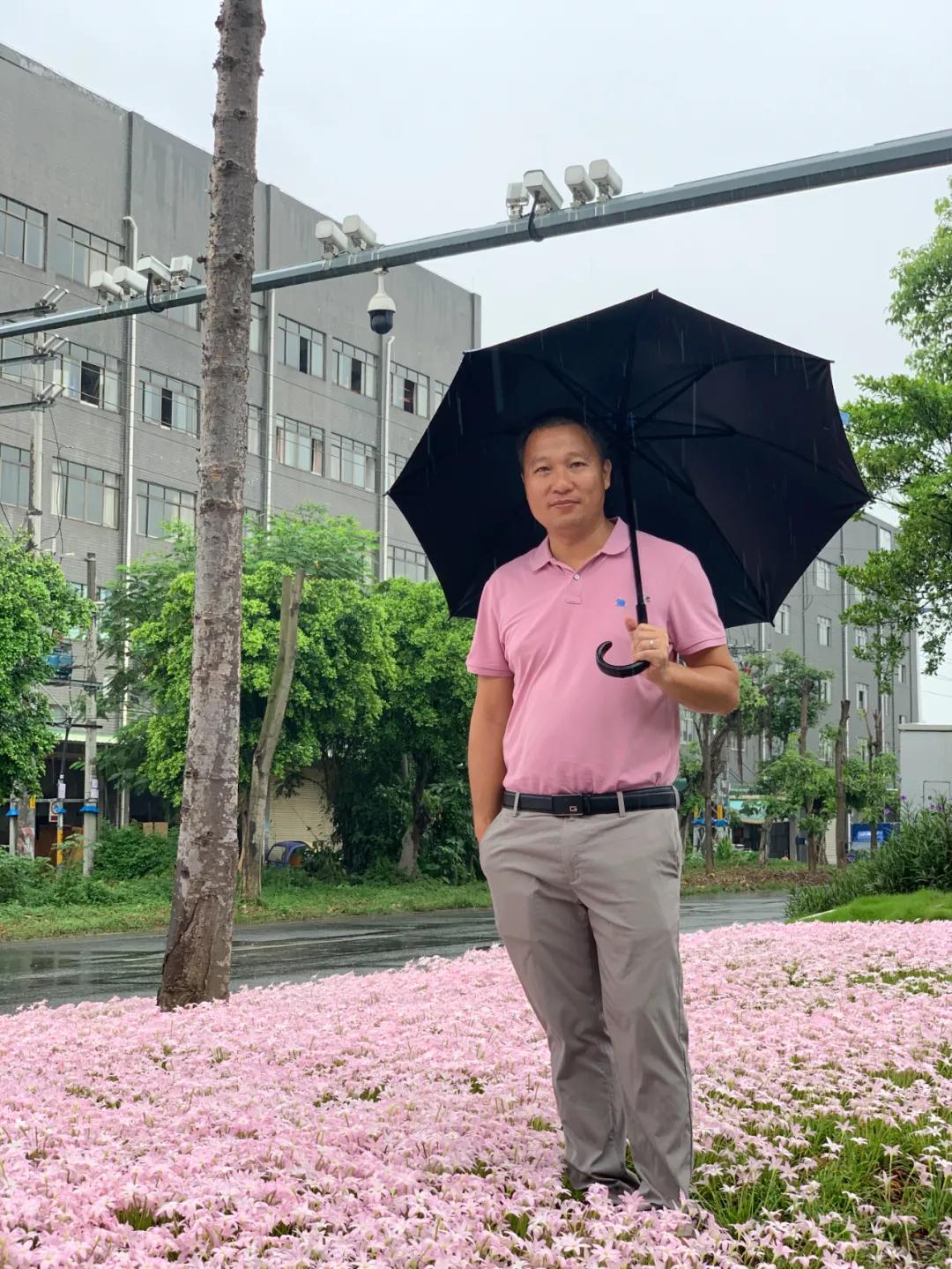 风雨兰的惊艳,风雨兰花开花