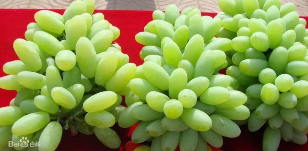 辽宁葫芦岛特产有哪些,辽宁特产有哪些值得带去的