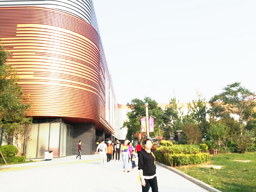 北京地铁4号线新宫站,北京地铁4号线和8号线交汇站