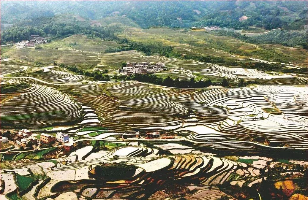 全国最宝藏的省,中国宝藏最多的省份