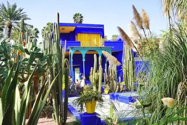 免签进一步扩大开放,免签后游客暴涨