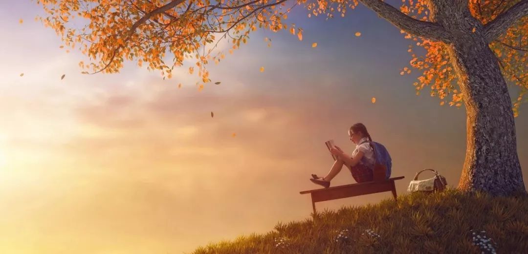 写作是一种智慧四招打造高分作文,4种写作技巧怎样写才是满分作文