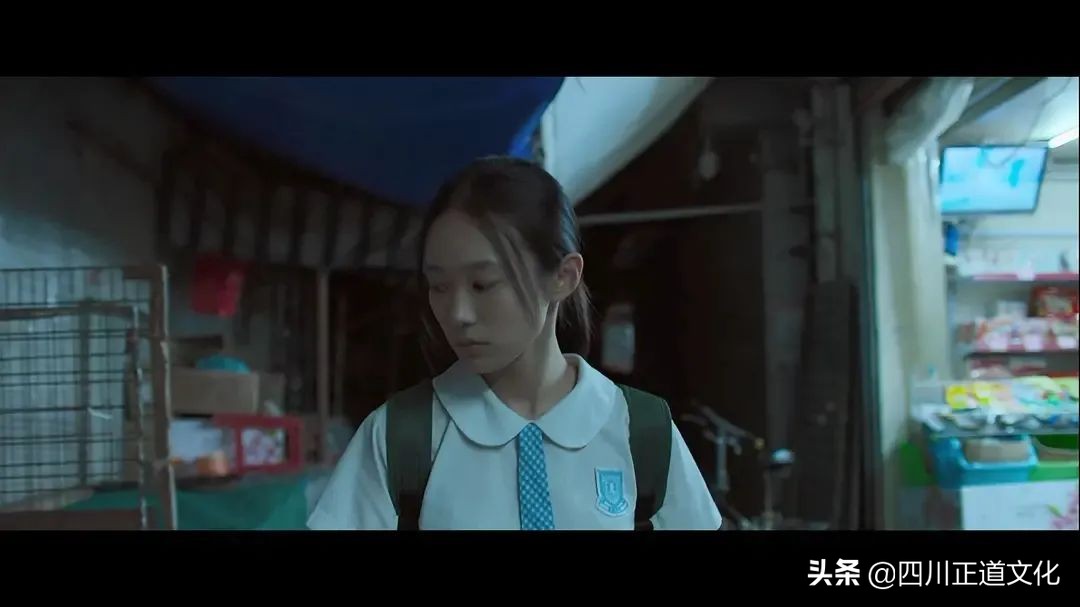 值得看的电影春天,春天的电影名字