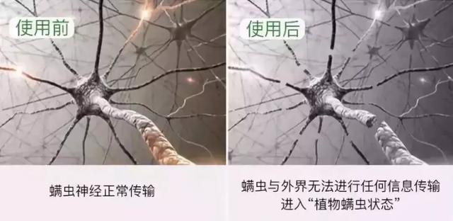 床上螨虫成窝，家里老人小孩老过敏，教你1个土法子，让螨虫消失
