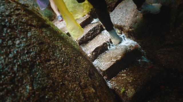 福鼎旅游数据,福鼎纪录片