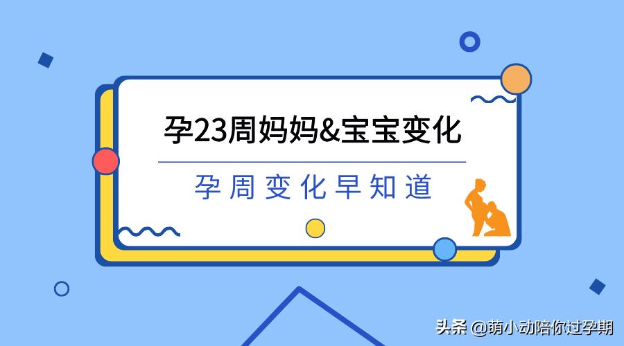 孕周记|孕23周妈妈宝宝变化及建议