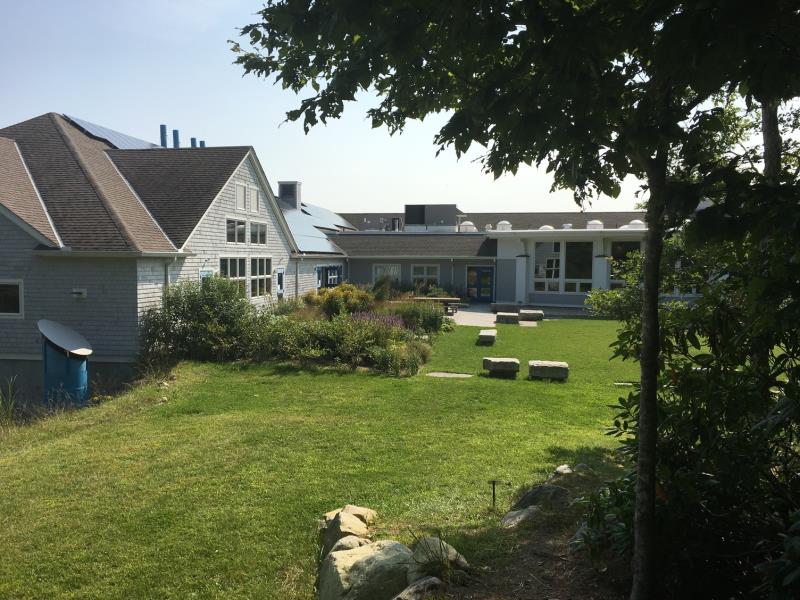 世界排名领先,加州大学欧文分校到底有多厉害?