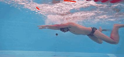 中游体育波浪式蛙泳推进力,中游体育蛙泳