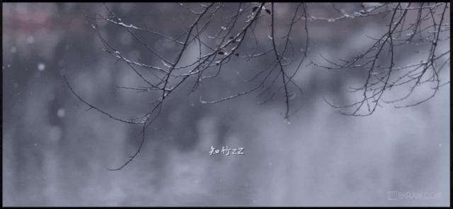 这12个网站,怎么可以这么好看