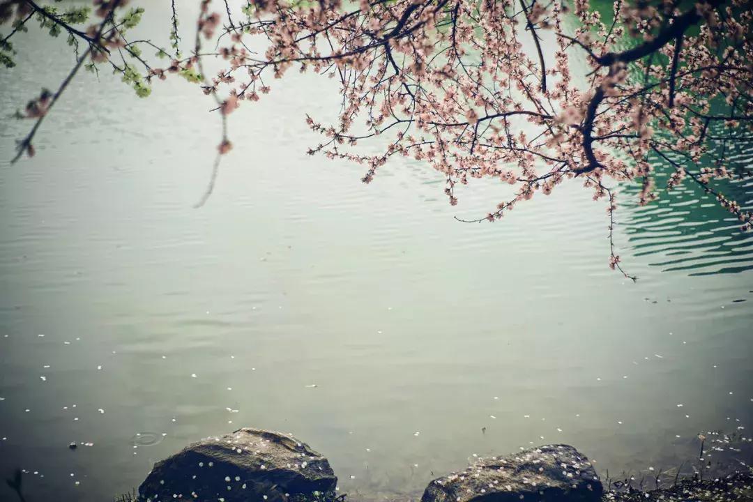 诗句世间,诗词天下无双