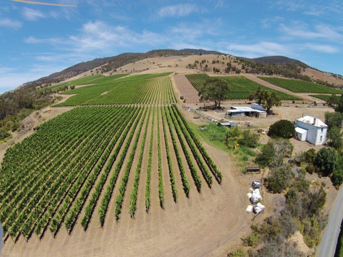 德国最适合旅游的十大酒庄,塔斯马尼亚岛最美的地方