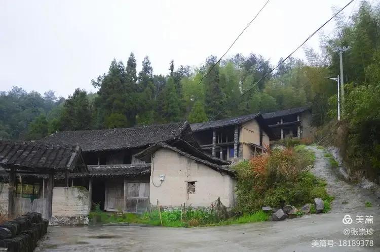 泰顺葛洋陶氏三兄弟修建的三条古道，等你来打卡～