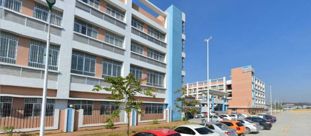 厉害！*江阳**5年内增建11所中小学，附各区编制方案