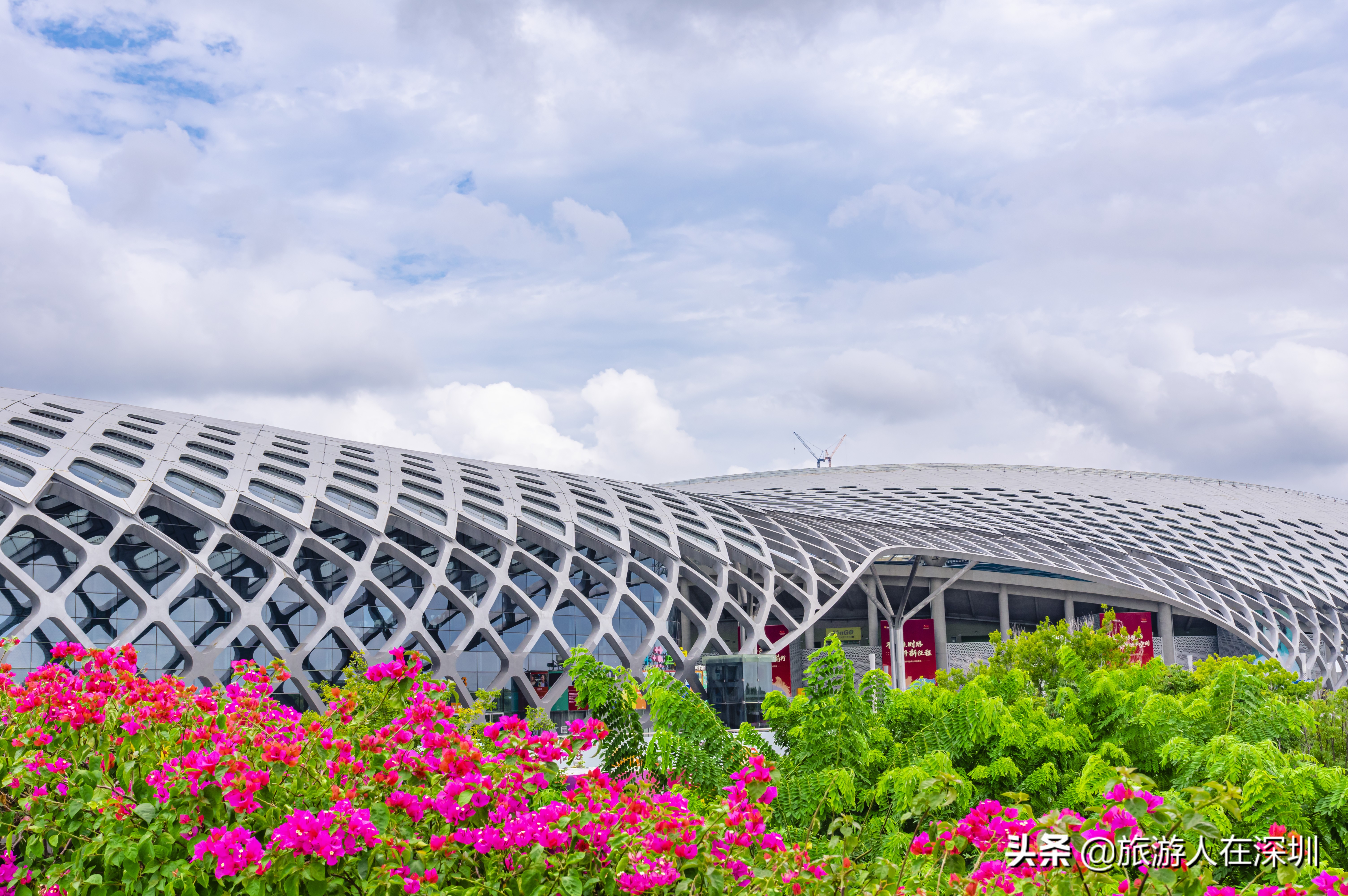 现代建筑北京鸟巢,深圳湾体育中心建筑物