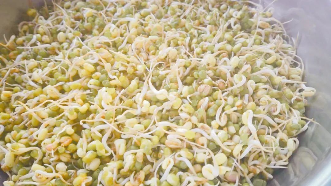 低脂爽脆豆芽菜,爽脆豆芽菜抖音团购