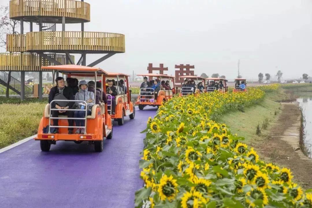 瑞安旅游全攻略,瑞安旅游攻略推荐