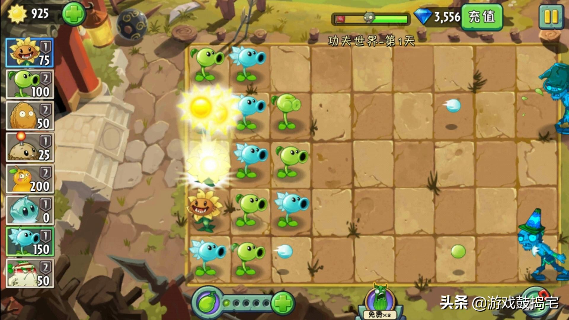 植物大战僵尸什么向日葵最厉害,植物大战僵尸的向日葵的攻击方式