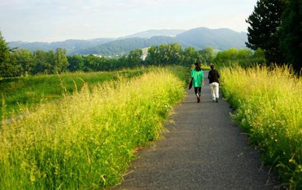 黄昏是一种美作文,黄昏是美丽的散文原创