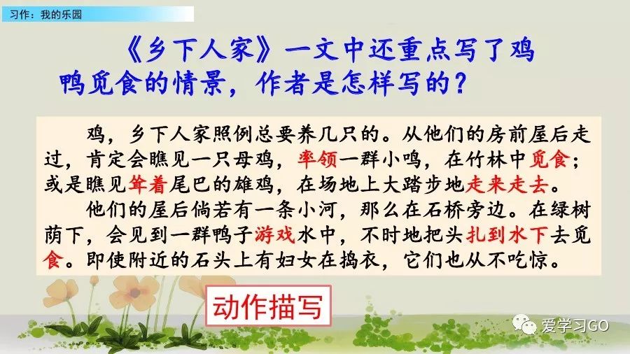 部编版我的乐园作文四年级下450字,四年级下册语文我的乐园优秀作文