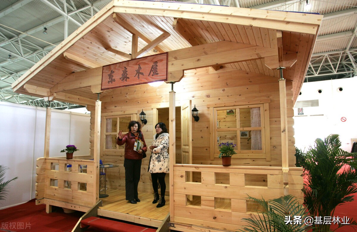 水杉树是不是一级保护植物,杉木属里有水杉吗