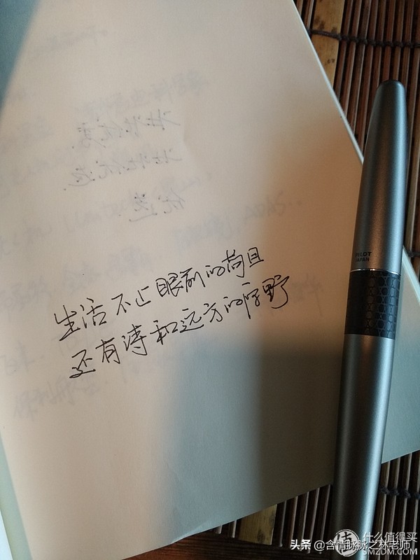 百乐动物先生，不错的书写体验