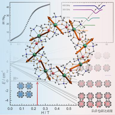 Matter：史上最大的单分子磁环