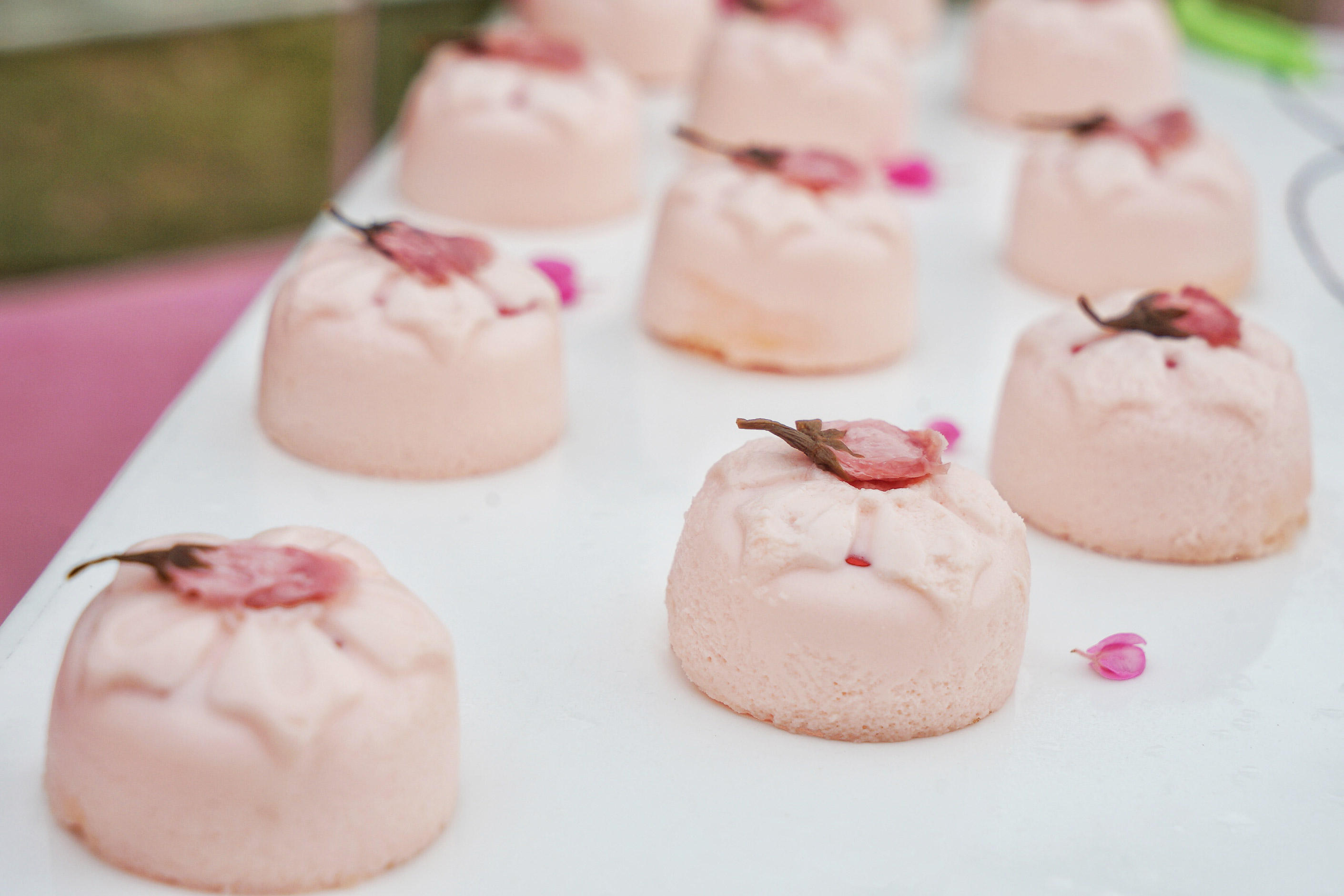 广州粉色浪漫花海,广东秋天粉色花海