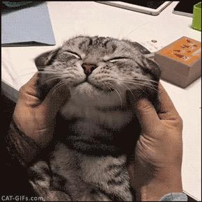 82年生的金智英演技炸裂,82年生的金智英视频简介