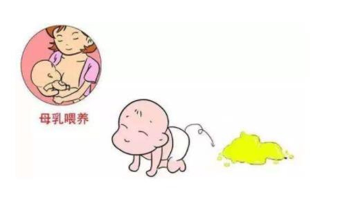 刚出生14天的婴儿拉肚子,刚出生的幼猫拉肚子怎么办