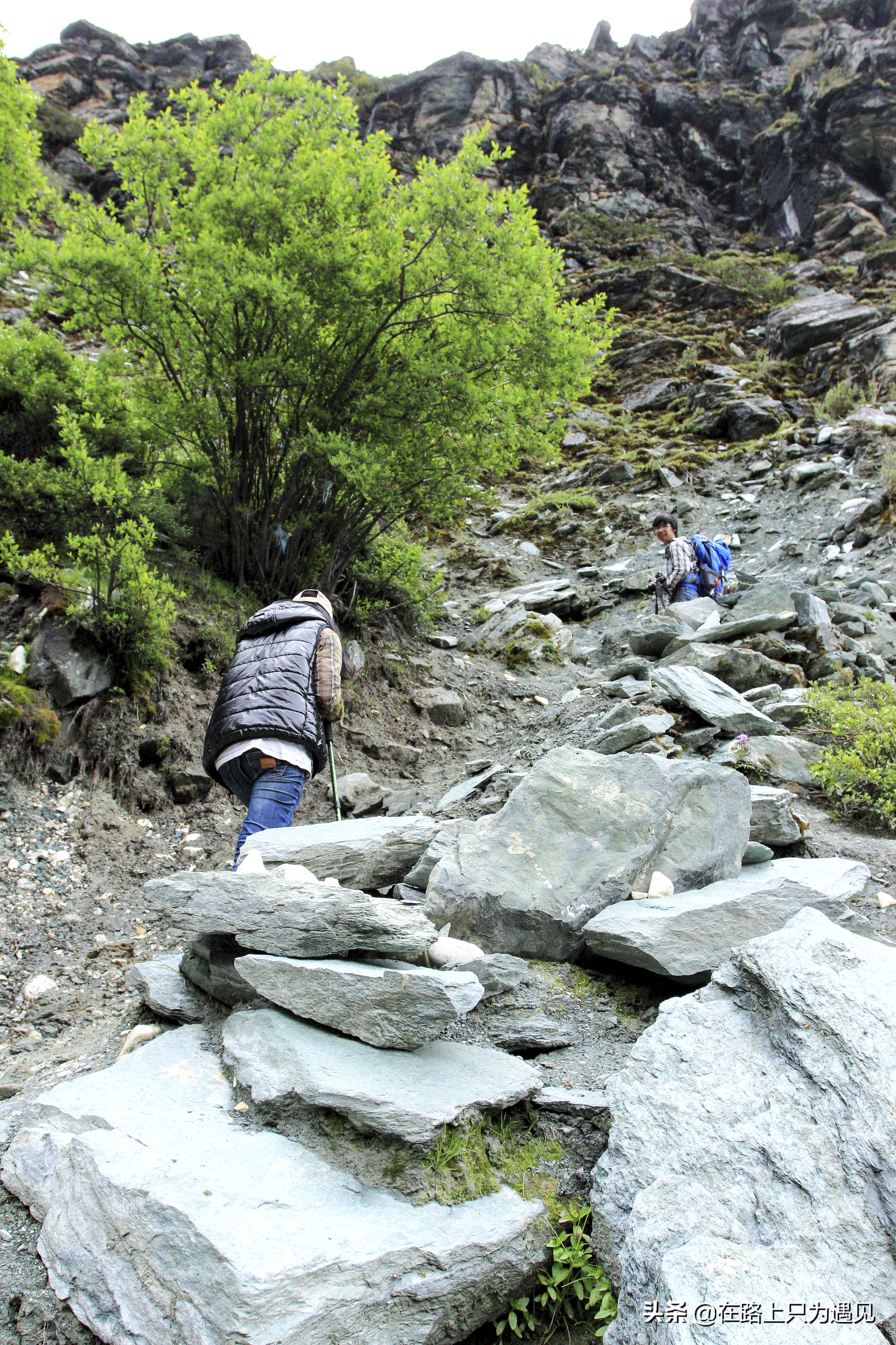 从你的全世界路过稻城亚丁主人公,从你的全世界路过稻城亚丁片段