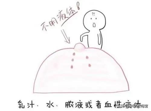 女性胸部知识你知多少,女性胸部知识科普