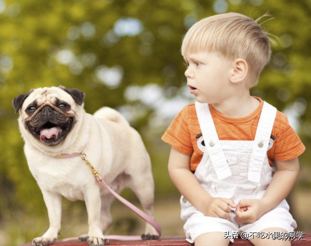 被宠物咬伤后要不要打免疫球蛋白,被宠物咬伤怎么办图片