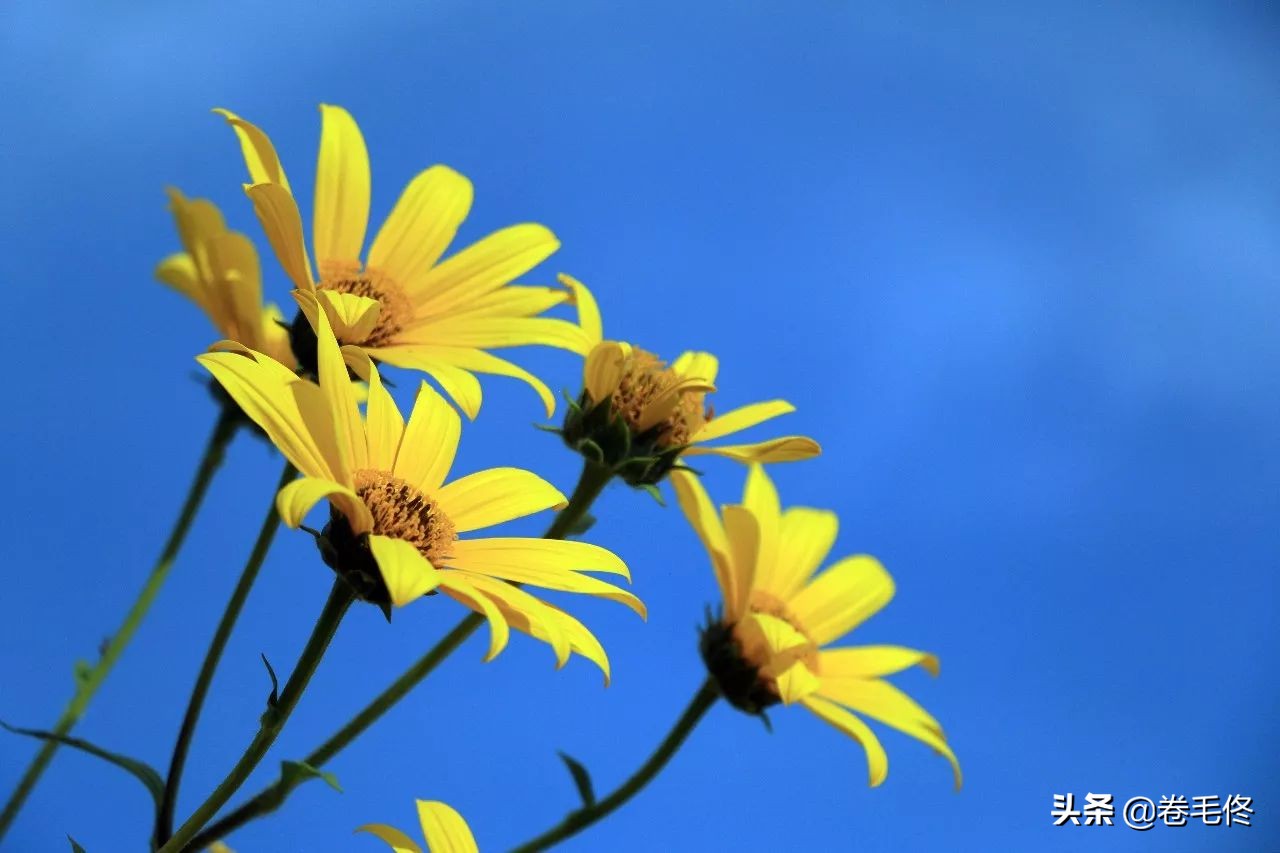 不到喀什就没到过南疆景点在哪里,喀什出发南北疆大环线自驾游攻略
