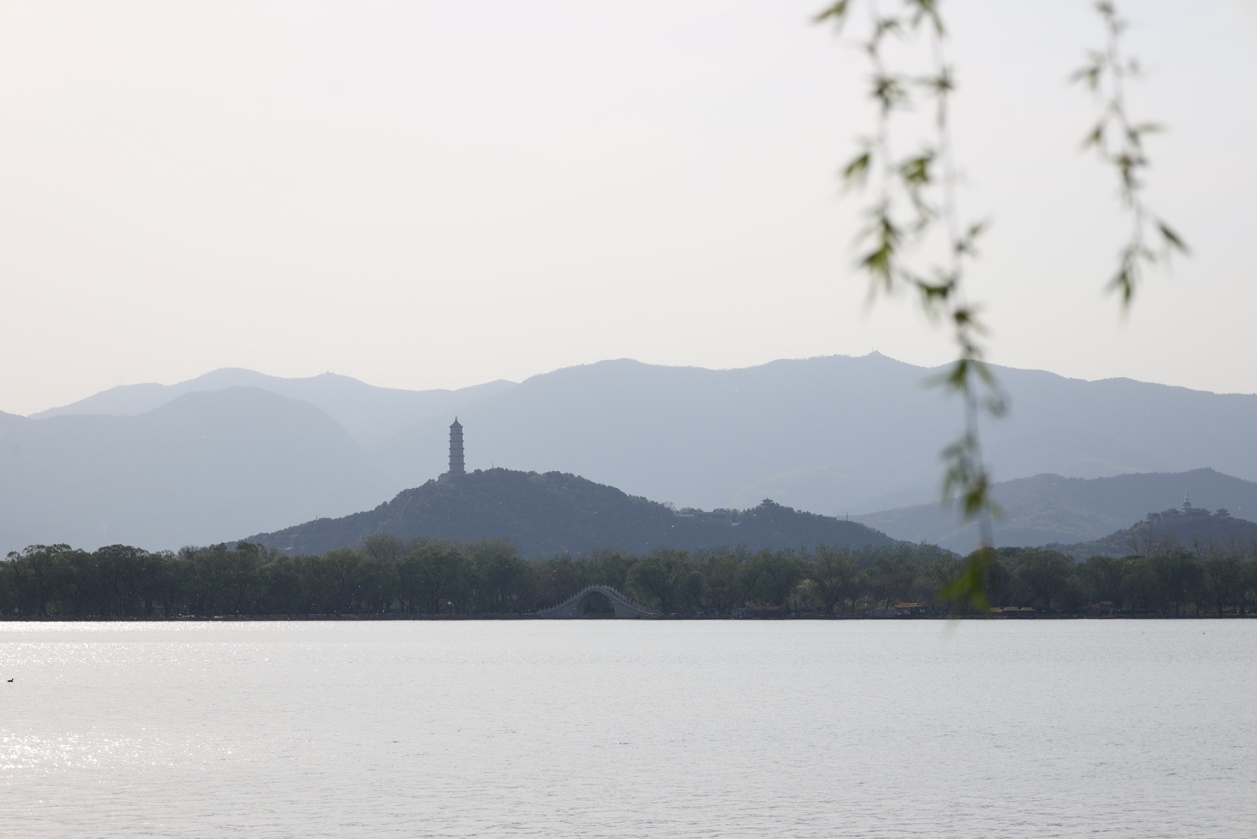 佳能rf镜头性价比高的推荐,佳能rf广角镜头最便宜的推荐