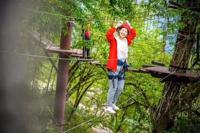 成都自驾百里杜鹃旅游攻略,万亩杜鹃花在青山幽谷