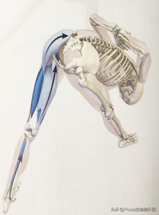 产后平躺腰疼是怎么回事,产后腰痛膝盖痛怎么锻炼