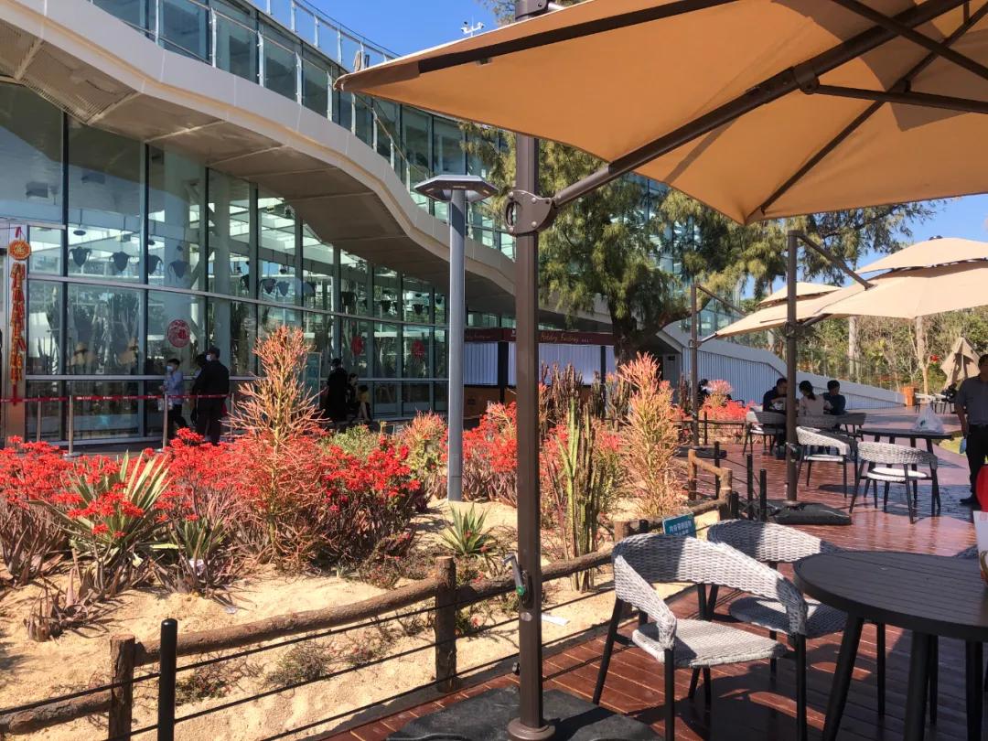 花园庭院设计花卉园艺,花园搭配的草类植物