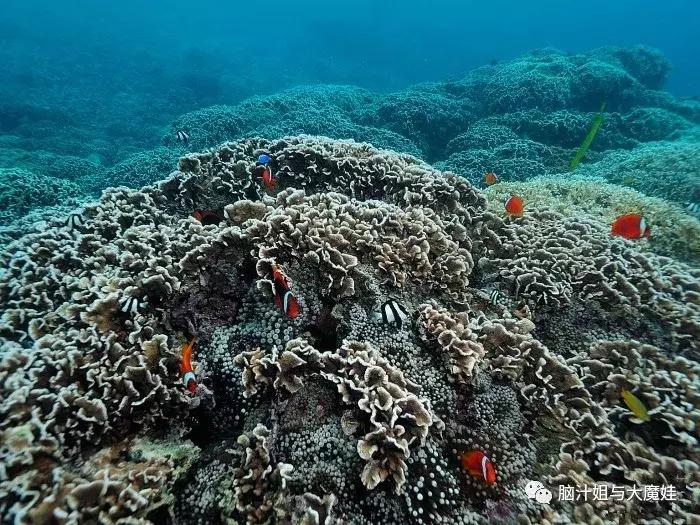 冲绳奥武山公园滑梯,冲绳旅游攻略自由行最新