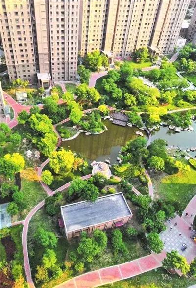 超棒!津南新城社区被评为市级“绿色社区”