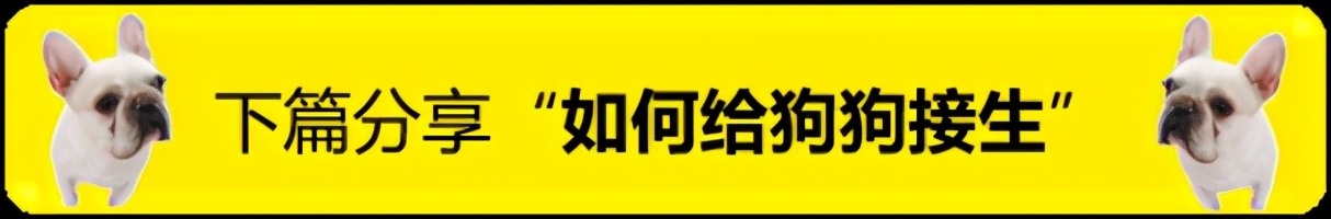 猫咪血便,猫咪的血便是什么样子的