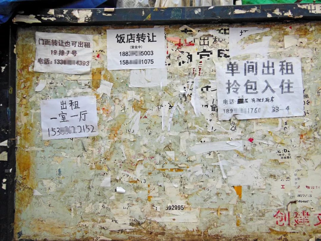 谢谢你男声唱,谢谢你闽南歌曲