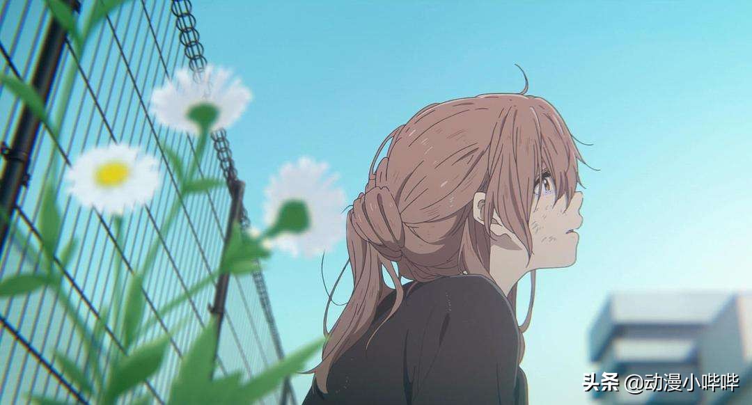 新番，旧番，表番，里番，看动漫这么多年这些番剧名词你懂了吗？