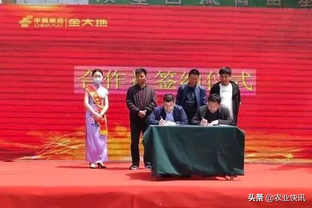 邮政金大地三农服务站优惠团购,邮政金大地三农服务站团购